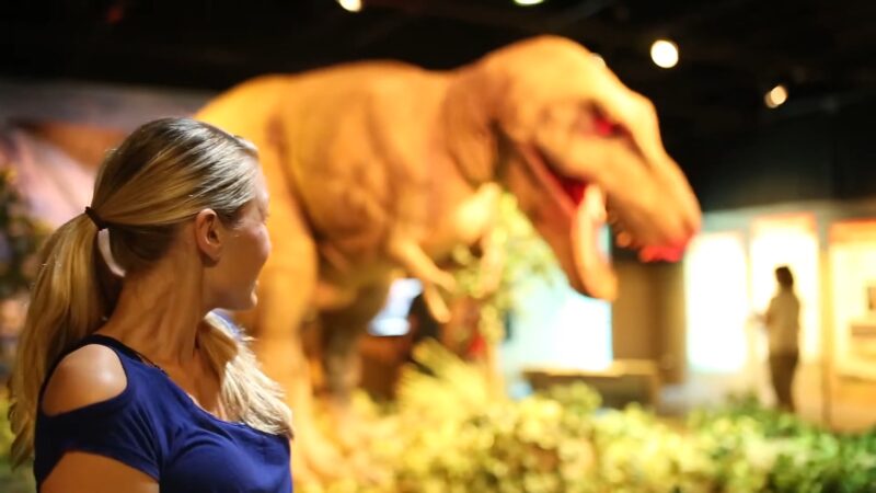 Visit the ScienceWorks Hands-On Museum in Ashland