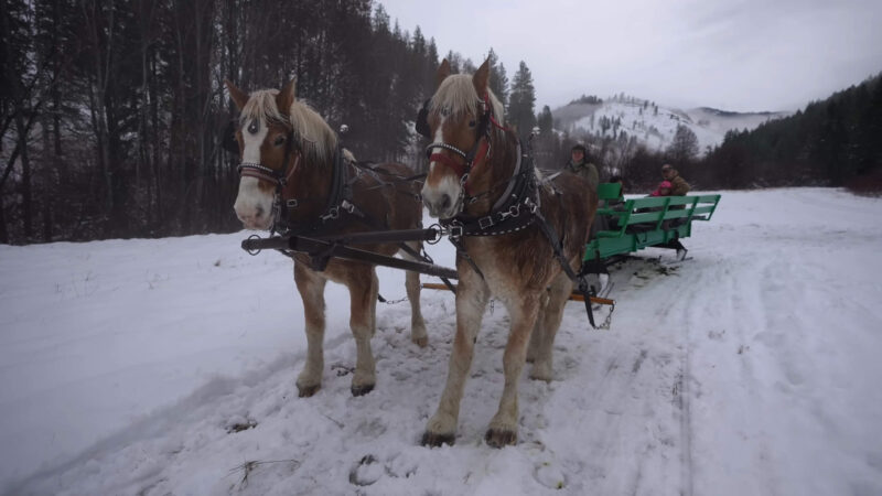 Horse-Drawn Sleigh Rides in Leavenworth