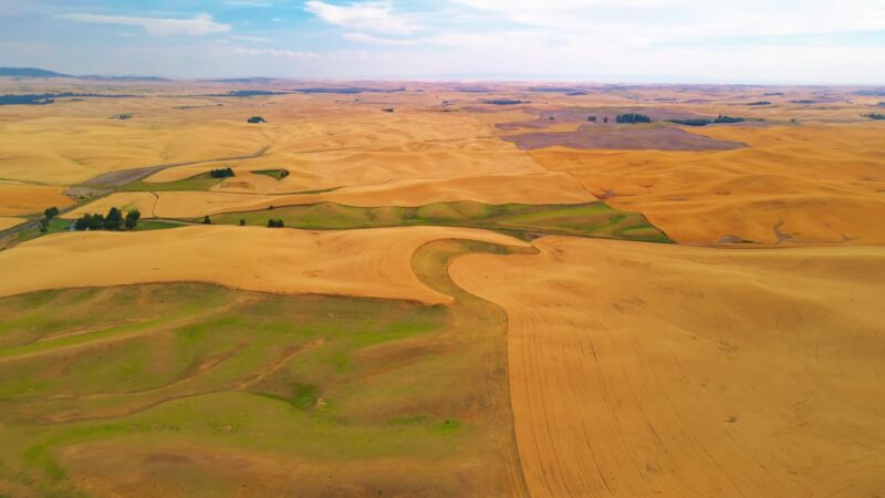 Palouse Scenic Byway (Highway 195)