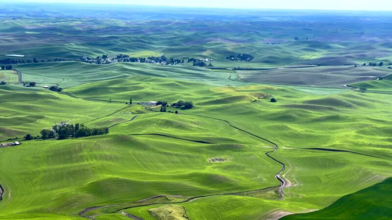 Steptoe Butte State Park