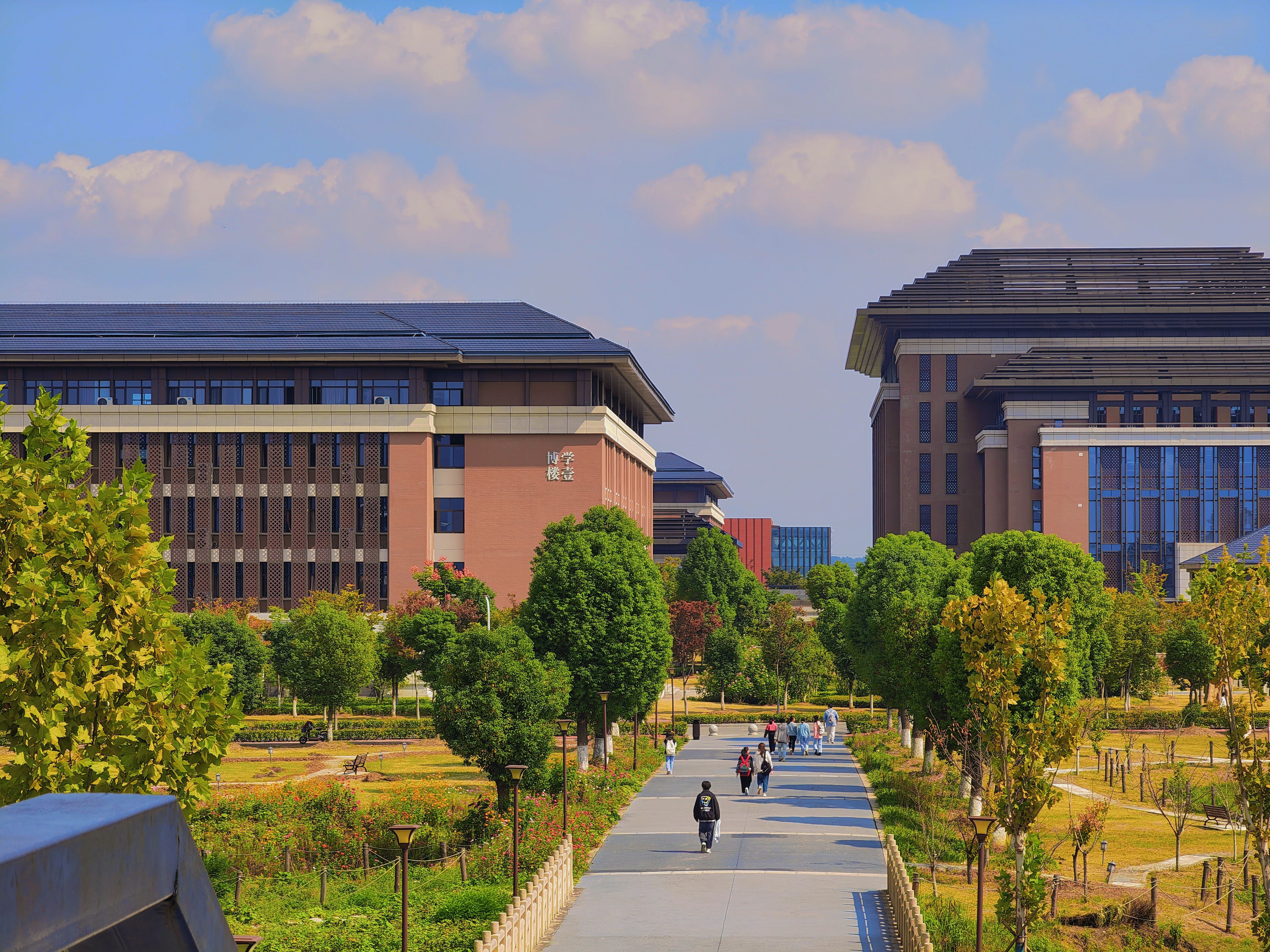 Modern campus buildings beside a tree-lined walkway, showing a shaded and walkable university outdoor environment.